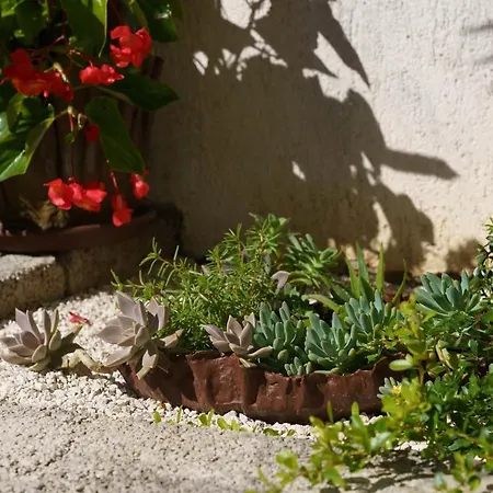 House Max Holiday home Porec